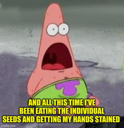 Suprised Patrick | AND ALL THIS TIME I'VE BEEN EATING THE INDIVIDUAL SEEDS AND GETTING MY HANDS STAINED | image tagged in suprised patrick | made w/ Imgflip meme maker