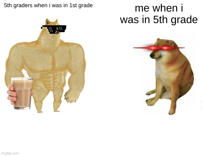 school | 5th graders when i was in 1st grade; me when i was in 5th grade | image tagged in memes,buff doge vs cheems | made w/ Imgflip meme maker