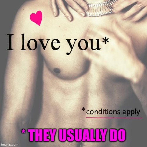 Conditions May Apply | * THEY USUALLY DO | image tagged in love,i love you,terms and conditions | made w/ Imgflip meme maker