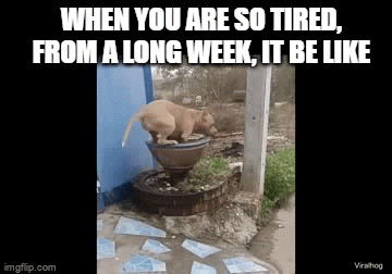 A Long Week - Imgflip