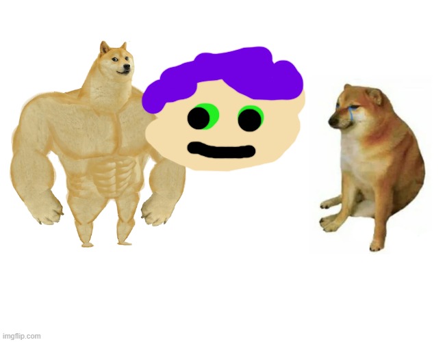 image tagged in memes,buff doge vs cheems | made w/ Imgflip meme maker