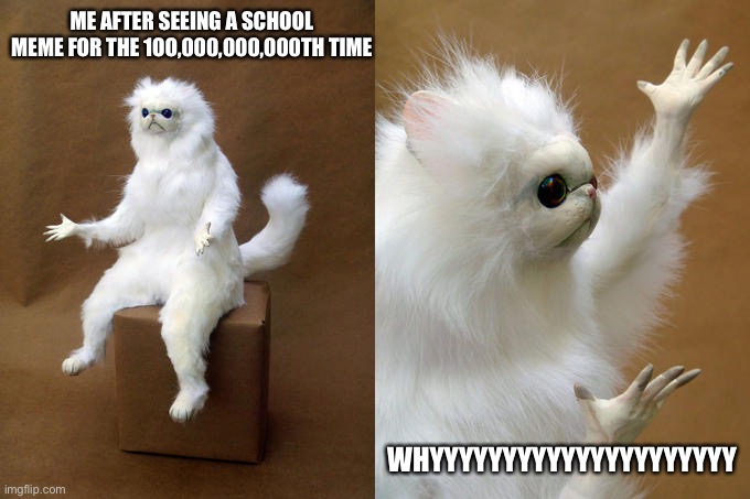 Persian Cat Room Guardian | ME AFTER SEEING A SCHOOL MEME FOR THE 1OO,000,000,000TH TIME; WHYYYYYYYYYYYYYYYYYYYYY | image tagged in memes,persian cat room guardian | made w/ Imgflip meme maker
