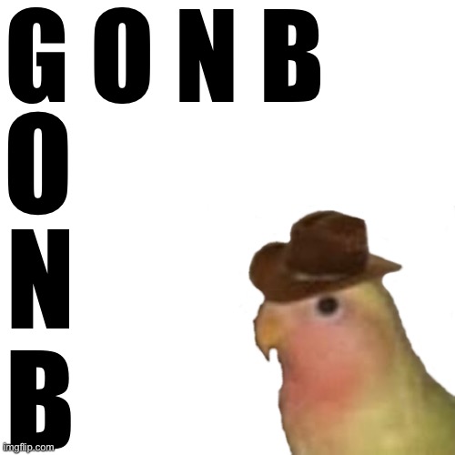 Yes I am a Gonb | G O N B; O; N; B | image tagged in gonb | made w/ Imgflip meme maker