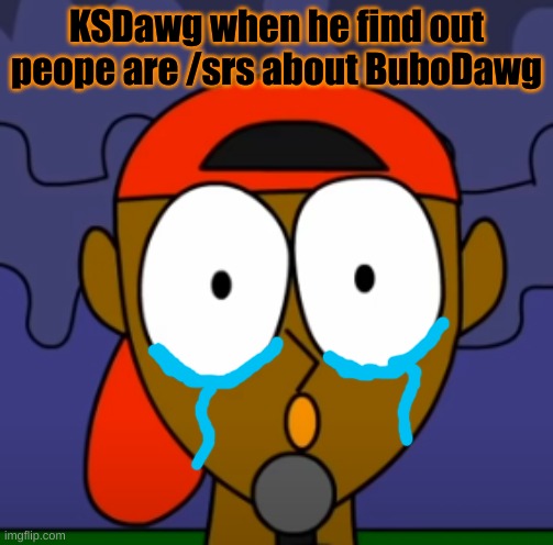 KSDawg when he find out peope are /srs about BuboDawg | made w/ Imgflip meme maker