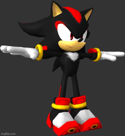 shadow the hedgehog t pose | image tagged in shadow the hedgehog t pose | made w/ Imgflip meme maker