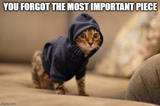 Hoody Cat Meme | YOU FORGOT THE MOST IMPORTANT PIECE | image tagged in memes,hoody cat | made w/ Imgflip meme maker