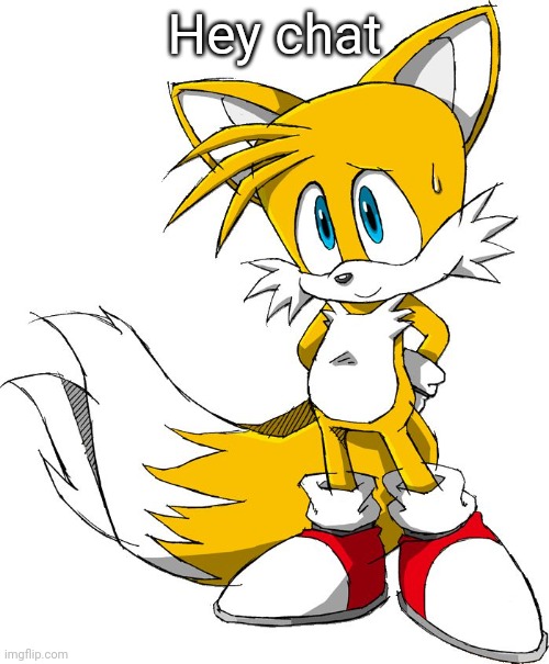 Hey chat | image tagged in tails | made w/ Imgflip meme maker