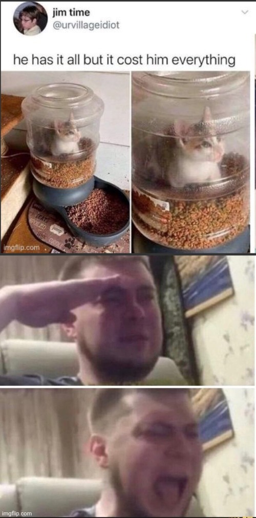Salute | image tagged in crying salute,kittens,cats,meme,memes | made w/ Imgflip meme maker
