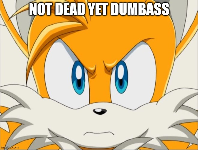 NOT DEAD YET DUMBASS | image tagged in tails | made w/ Imgflip meme maker