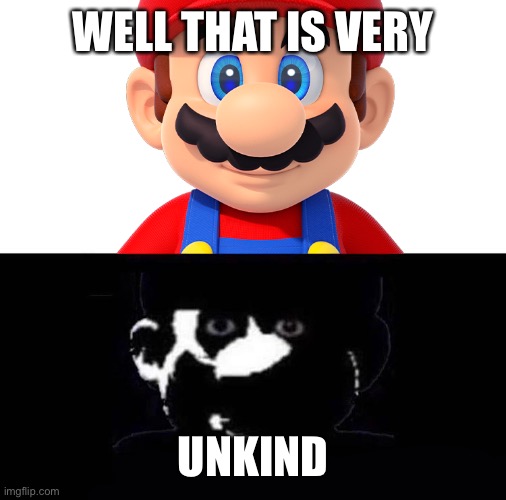 Lightside Mario VS Darkside Mario | WELL THAT IS VERY UNKIND | image tagged in lightside mario vs darkside mario | made w/ Imgflip meme maker