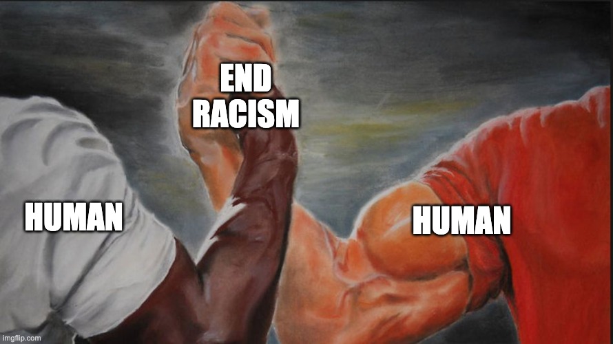 Black White Arms | END RACISM; HUMAN; HUMAN | image tagged in black white arms | made w/ Imgflip meme maker