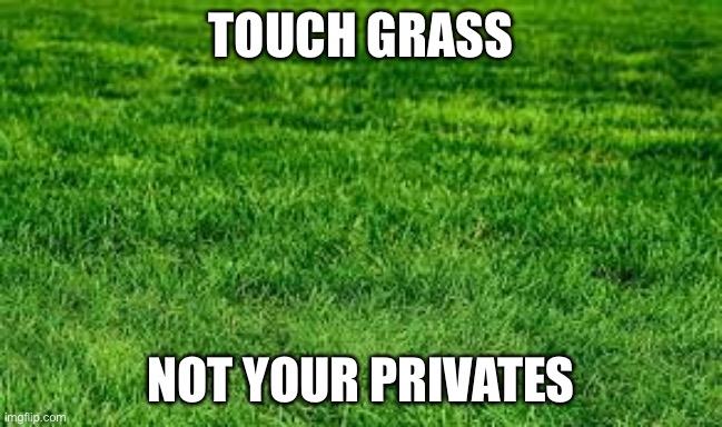 touching grass | TOUCH GRASS NOT YOUR PRIVATES | image tagged in touching grass | made w/ Imgflip meme maker
