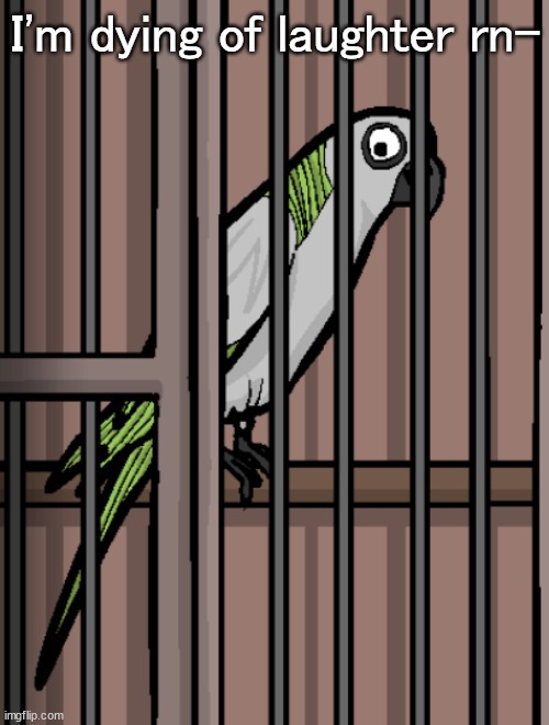Bird on crack | I'm dying of laughter rn- | image tagged in bird on crack | made w/ Imgflip meme maker