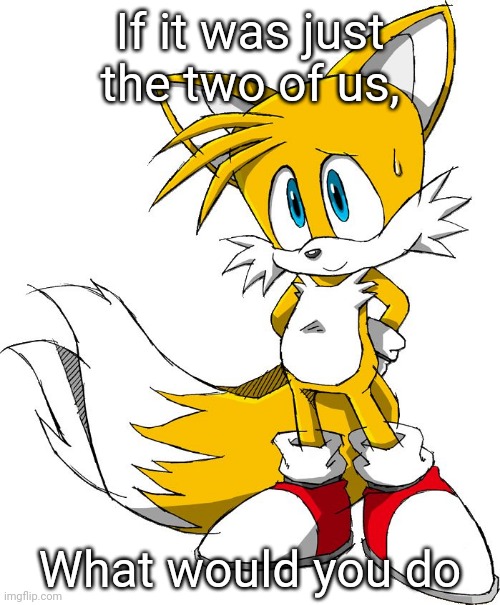 If it was just the two of us, What would you do | image tagged in tails | made w/ Imgflip meme maker