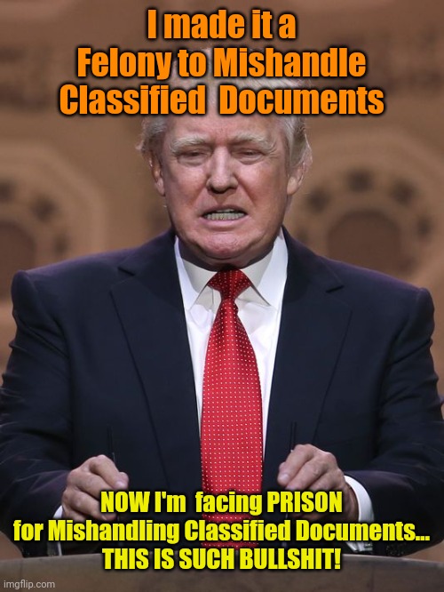 Donald Trump | I made it a Felony to Mishandle Classified  Documents; NOW I'm  facing PRISON for Mishandling Classified Documents...
THIS IS SUCH BULLSHIT! | image tagged in donald trump | made w/ Imgflip meme maker