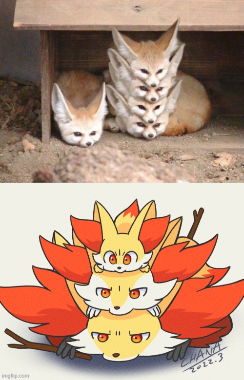 they're the same | image tagged in fennec stack,fennekin,braixen,delphox | made w/ Imgflip meme maker