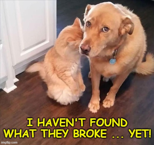 Guilty | I HAVEN'T FOUND WHAT THEY BROKE ... YET! | image tagged in funny memes | made w/ Imgflip meme maker