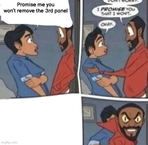 promise me you wont blank | Promise me you won’t remove the 3rd panel | made w/ Imgflip meme maker