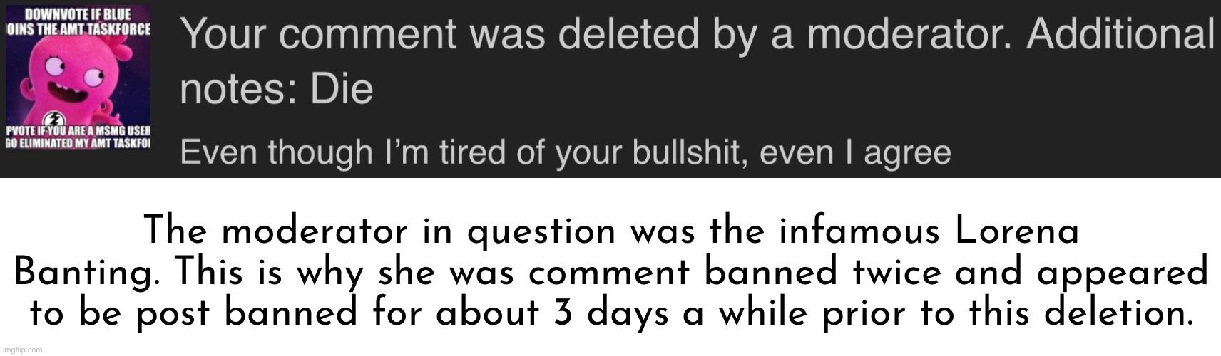 Thankfully I was able to get 2 Eric Banting alts deleted. | The moderator in question was the infamous Lorena Banting. This is why she was comment banned twice and appeared to be post banned for about 3 days a while prior to this deletion. | made w/ Imgflip meme maker