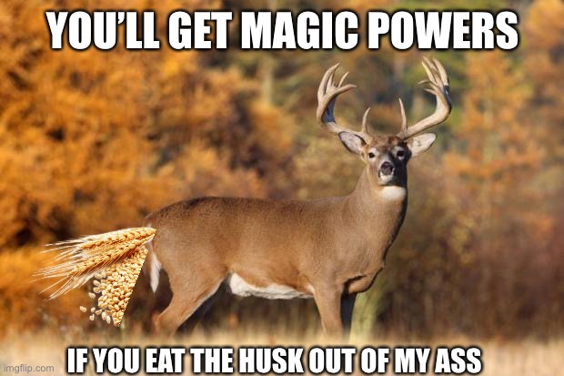 whitetail deer | YOU’LL GET MAGIC POWERS; IF YOU EAT THE HUSK OUT OF MY ASS | image tagged in whitetail deer | made w/ Imgflip meme maker