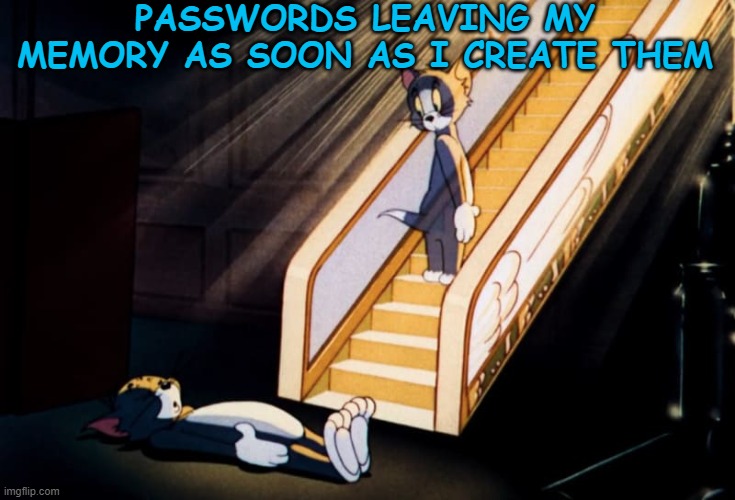 Passwords | PASSWORDS LEAVING MY MEMORY AS SOON AS I CREATE THEM | image tagged in funny cats | made w/ Imgflip meme maker