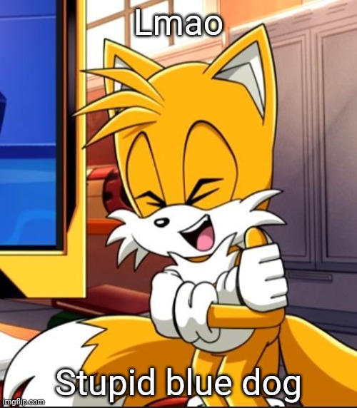 Lmao Stupid blue dog | image tagged in tails laughing | made w/ Imgflip meme maker