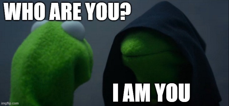 Evil Kermit Meme | WHO ARE YOU? I AM YOU | image tagged in memes,evil kermit | made w/ Imgflip meme maker