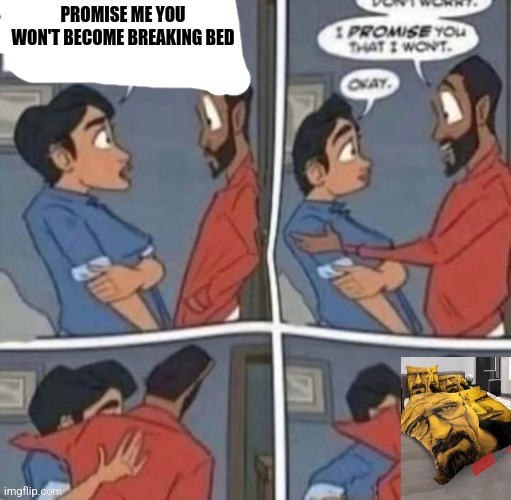 promise me you wont blank | PROMISE ME YOU WON'T BECOME BREAKING BED | image tagged in promise me you wont blank | made w/ Imgflip meme maker