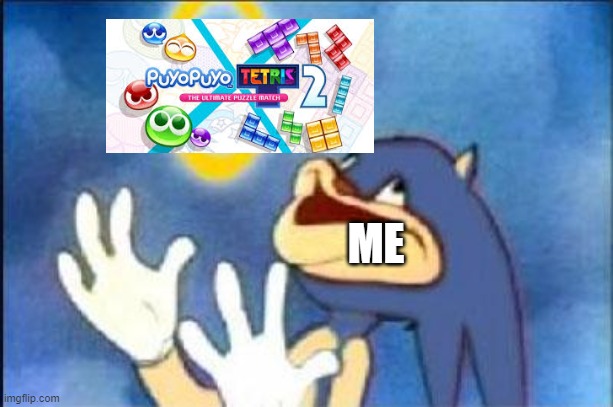 MY LAST SWITCH GAME I BUY | ME | image tagged in sonic derp | made w/ Imgflip meme maker