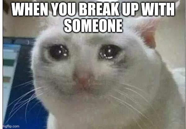 When you break up with someone | WHEN YOU BREAK UP WITH
SOMEONE | image tagged in crying cat | made w/ Imgflip meme maker