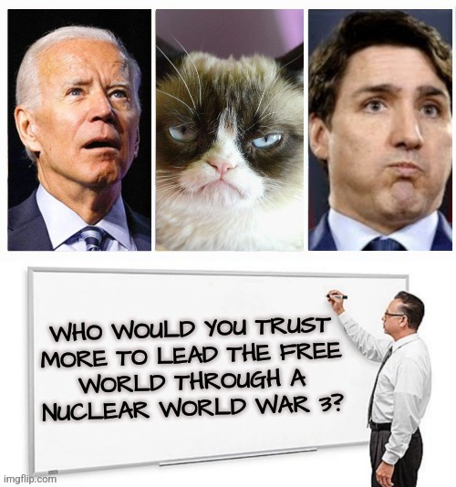 Ultra Nuclear Leadership | WHO WOULD YOU TRUST
MORE TO LEAD THE FREE
WORLD THROUGH A
NUCLEAR WORLD WAR 3? | image tagged in funny,memes,joe biden,justin trudeau,nuclear war,liberals | made w/ Imgflip meme maker