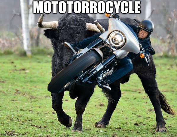 L Toro | MOTOTORROCYCLE | image tagged in motorcycle,toro,bull | made w/ Imgflip meme maker