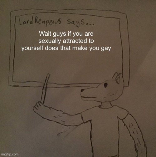 Vote | Wait guys if you are sexually attracted to yourself does that make you gay | image tagged in lordreaperus says | made w/ Imgflip meme maker