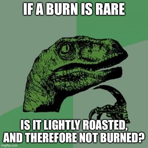 Light burn | IF A BURN IS RARE IS IT LIGHTLY ROASTED, AND THEREFORE NOT BURNED? | image tagged in memes,philosoraptor,roasted | made w/ Imgflip meme maker