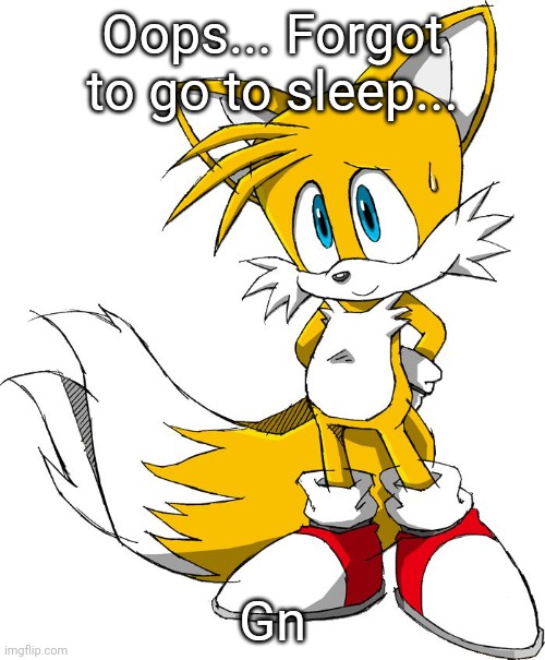 Oops... Forgot to go to sleep... Gn | image tagged in tails | made w/ Imgflip meme maker