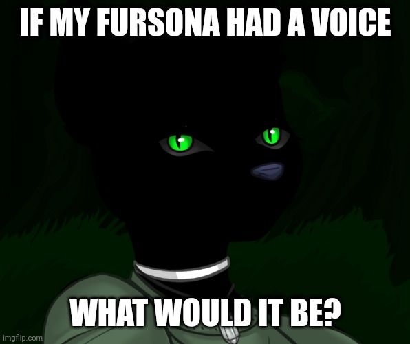 My new panther fursona | IF MY FURSONA HAD A VOICE; WHAT WOULD IT BE? | image tagged in my new panther fursona | made w/ Imgflip meme maker