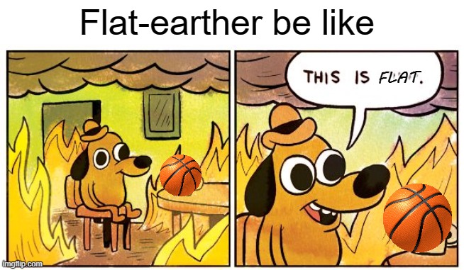This Is Fine | Flat-earther be like; FLAT | image tagged in memes,this is fine | made w/ Imgflip meme maker