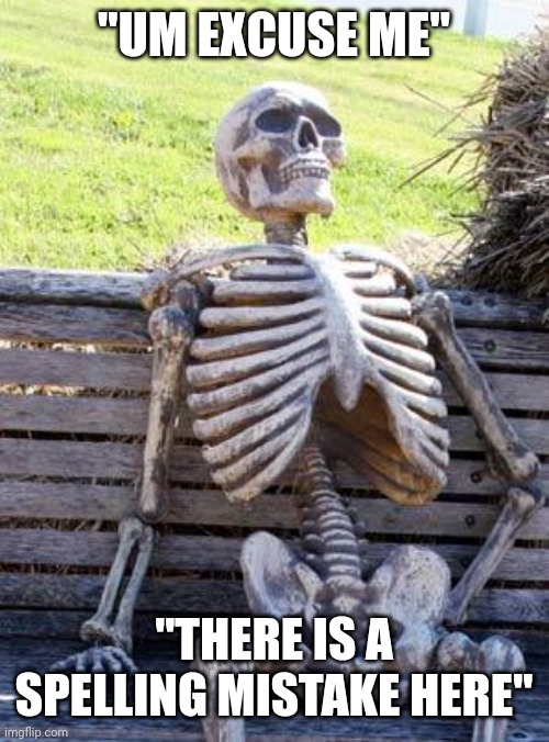 Waiting Skeleton Meme | "UM EXCUSE ME" "THERE IS A SPELLING MISTAKE HERE" | image tagged in memes,waiting skeleton | made w/ Imgflip meme maker