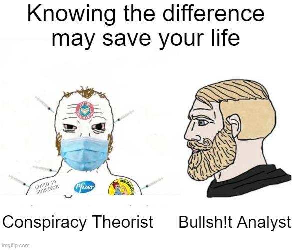 Tell me again how all the govts and Pharma companies are working together under the WEF and WHO to keep you healthy | Knowing the difference may save your life; Conspiracy Theorist; Bullsh!t Analyst | image tagged in soyboy vs yes chad | made w/ Imgflip meme maker