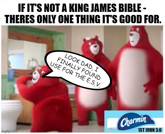 TOILET PAPER | IF IT'S NOT A KING JAMES BIBLE - 
THERES ONLY ONE THING IT'S GOOD FOR. LOOK DAD, I FINALLY FOUND USE FOR THE E.S.V. 1ST JOHN 3:6 | image tagged in charmin,toilet paper,bible,god,jesus christ,funny memes | made w/ Imgflip meme maker