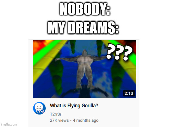 FLYING GORILLA | NOBODY:; MY DREAMS: | image tagged in meme,joke,dream,flying gorilla | made w/ Imgflip meme maker