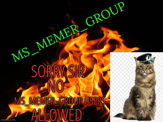 Flames | MS_MEMER_GROUP; SORRY SIR; NO; MS_MEMER_GROUP USERS; ALLOWED | image tagged in flames | made w/ Imgflip meme maker