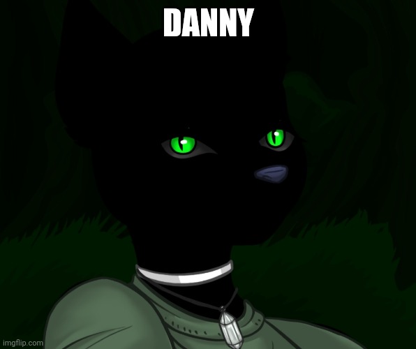 HAHAHA I SAID THE D WORDR | DANNY | image tagged in my new panther fursona | made w/ Imgflip meme maker