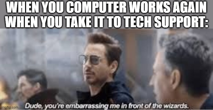 I AM NOT DEAD | WHEN YOU COMPUTER WORKS AGAIN WHEN YOU TAKE IT TO TECH SUPPORT: | image tagged in embarrassing me infront of the wizards | made w/ Imgflip meme maker