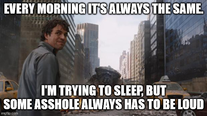 Hulk | EVERY MORNING IT'S ALWAYS THE SAME. I'M TRYING TO SLEEP, BUT SOME ASSHOLE ALWAYS HAS TO BE LOUD | image tagged in hulk | made w/ Imgflip meme maker