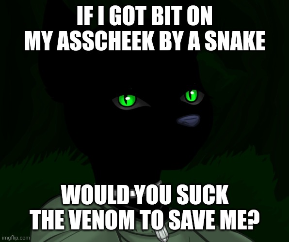 My new panther fursona | IF I GOT BIT ON MY ASSCHEEK BY A SNAKE; WOULD YOU SUCK THE VENOM TO SAVE ME? | image tagged in my new panther fursona | made w/ Imgflip meme maker