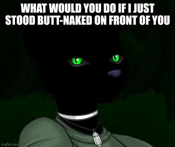 My new panther fursona | WHAT WOULD YOU DO IF I JUST STOOD BUTT-NAKED ON FRONT OF YOU | image tagged in my new panther fursona | made w/ Imgflip meme maker