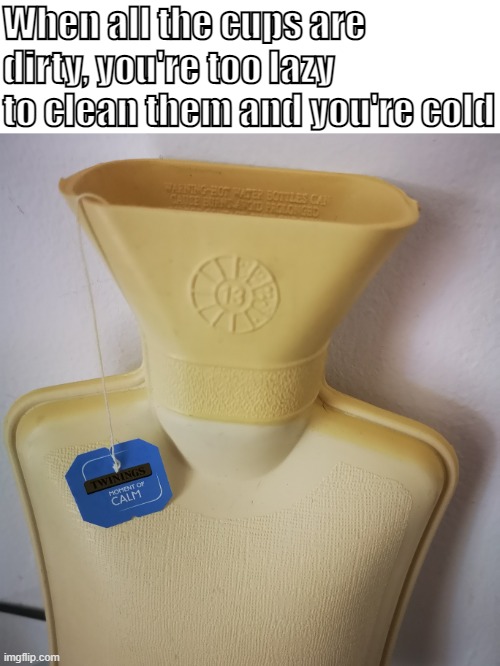 Lazy and cold | When all the cups are dirty, you're too lazy to clean them and you're cold | image tagged in hot water,tea,lazy,cold | made w/ Imgflip meme maker
