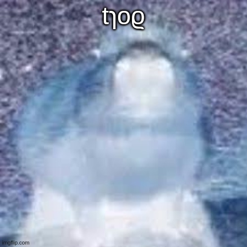tɿoϱ | tɿoϱ | made w/ Imgflip meme maker
