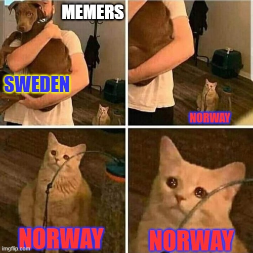Never forget the better Sweden | MEMERS; SWEDEN; NORWAY; NORWAY; NORWAY | image tagged in sad cat holding dog,norway,sweden,never forget,sad cat | made w/ Imgflip meme maker